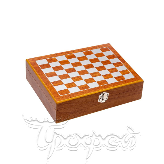 Набор-чемодан с шахматами (HS-GT-TZ199) 