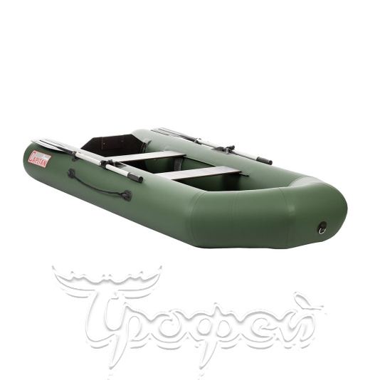 Лодка Капитан 280Тс (зеленый) Тонар