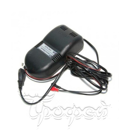 Зарядное устройство COHAP-Мини 12 V (202.01) 